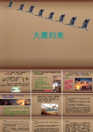 八年级语文下册 第14课大雁归来课件 (新版)新人教版 课件