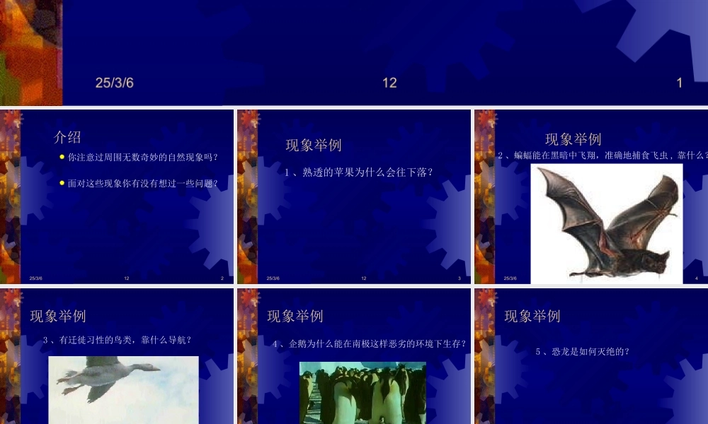 七年级科学上：0.1探索奇妙的自然界课件华东师大版 课件