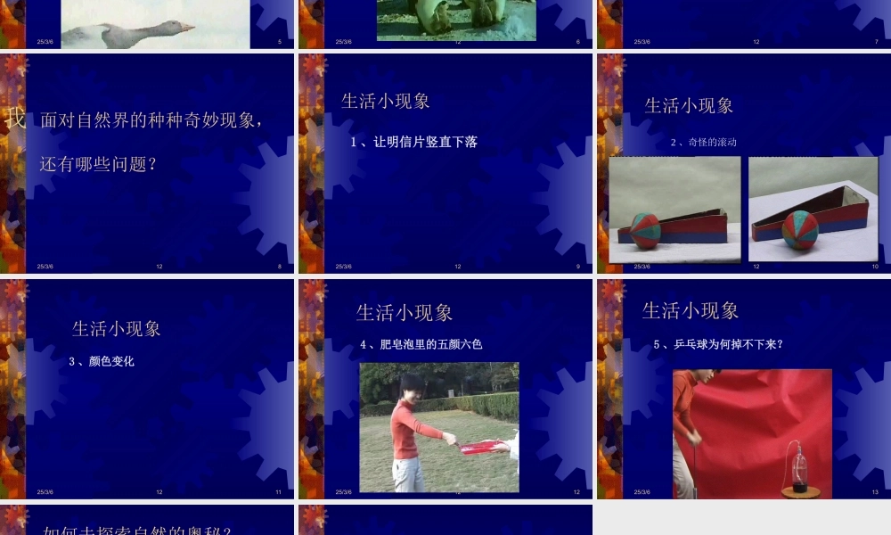 七年级科学上：0.1探索奇妙的自然界课件华东师大版 课件