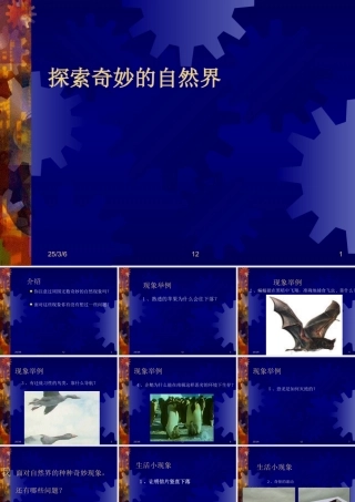 七年级科学上：0.1探索奇妙的自然界课件华东师大版 课件