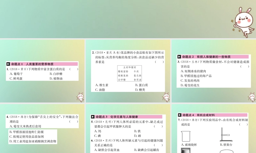 中考化学复习 主题四 化学与社会发展 第15讲 化学与生活课件