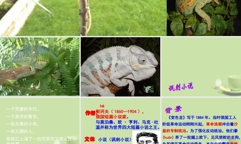 九年级语文 变色龙课件 新人教版 课件