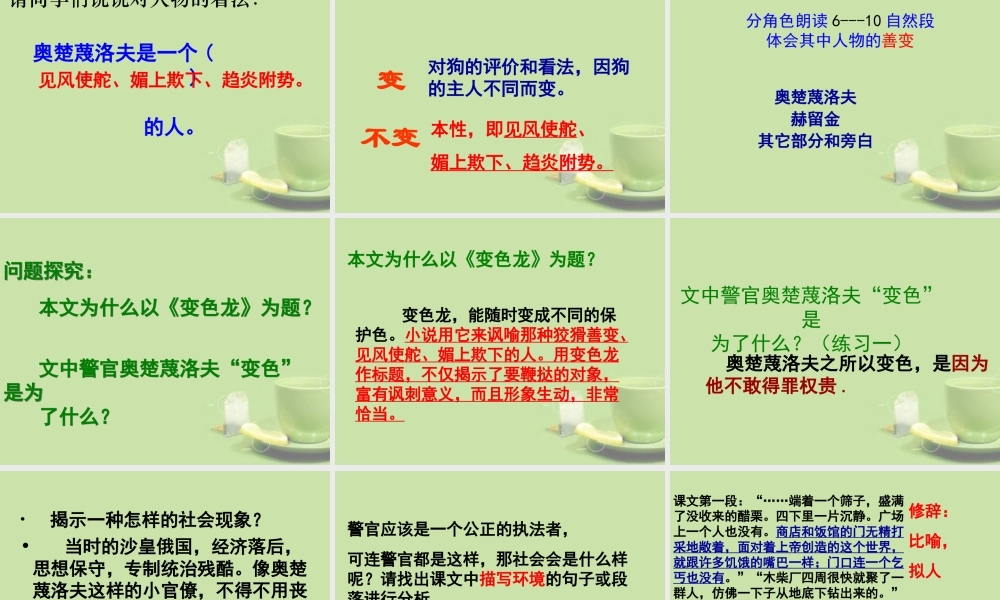 九年级语文 变色龙课件 新人教版 课件