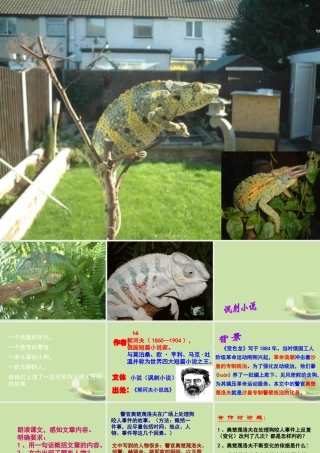 九年级语文 变色龙课件 新人教版 课件