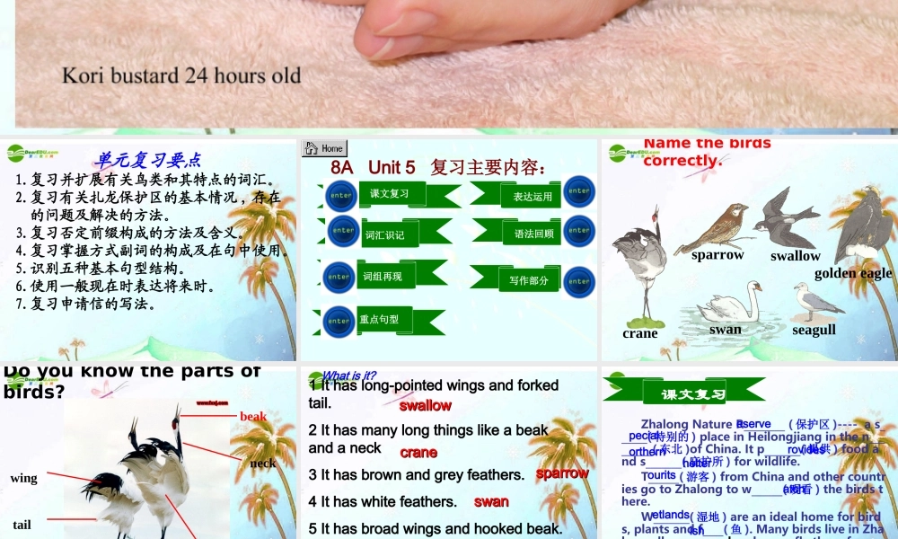 八年级英语上册 Unit5复习课件 牛津版 课件