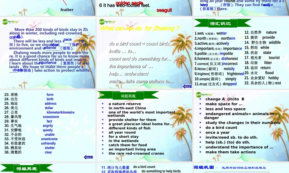 八年级英语上册 Unit5复习课件 牛津版 课件