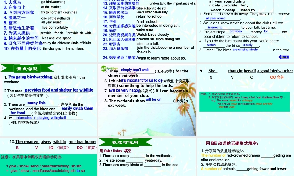 八年级英语上册 Unit5复习课件 牛津版 课件