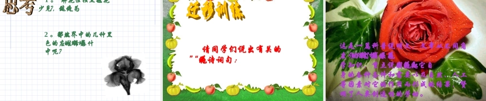 八年级语文上册花儿为什么这样红课件 语文版 课件