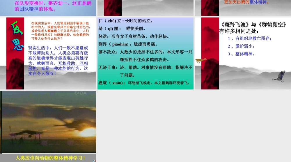 七年级语文下册 第7课 群鹤翔空 课件 北京课改版 课件