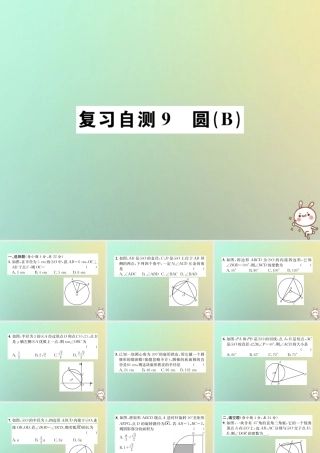 九年级数学下册 复习自测9 圆(B)习题课件 (新版)新人教版 课件