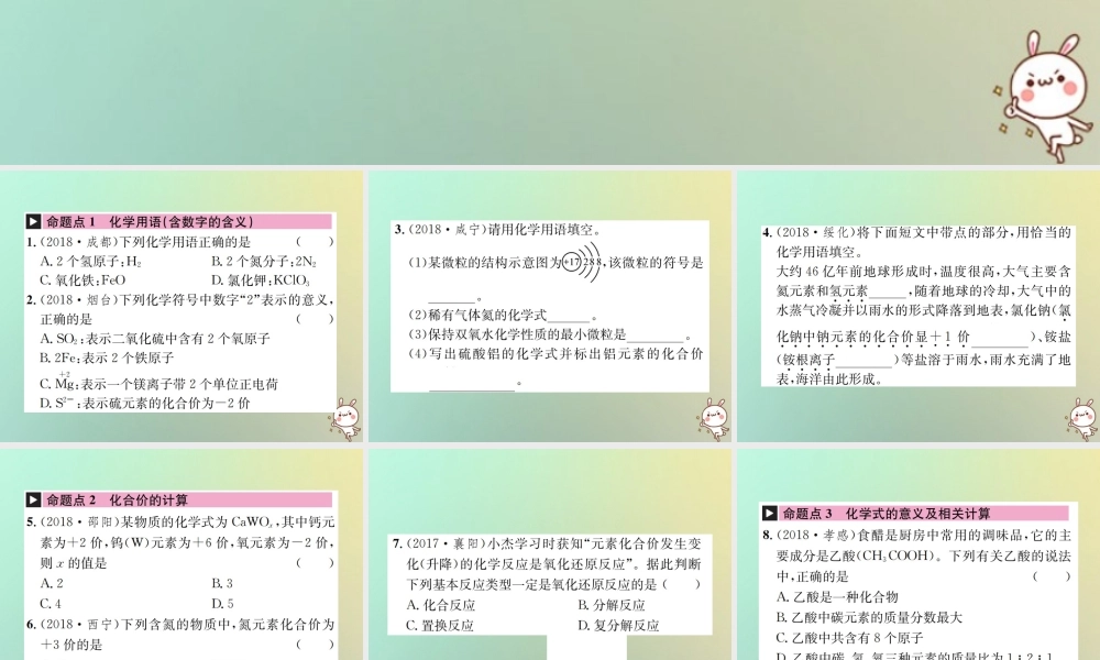 中考化学复习 主题二 物质构成的奥秘 第10讲 化学式与化合价课件