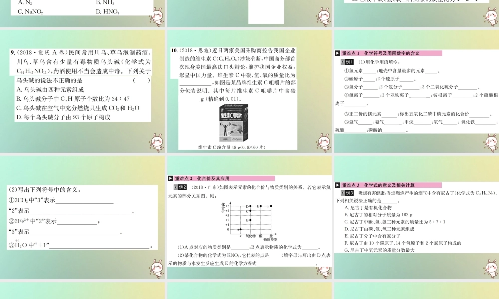 中考化学复习 主题二 物质构成的奥秘 第10讲 化学式与化合价课件