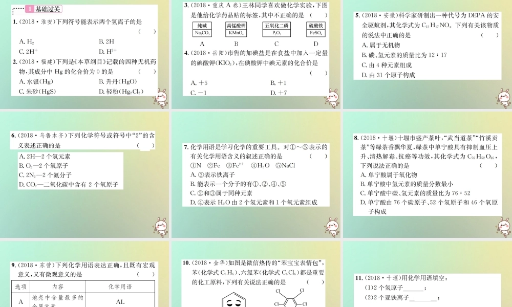 中考化学复习 主题二 物质构成的奥秘 第10讲 化学式与化合价课件
