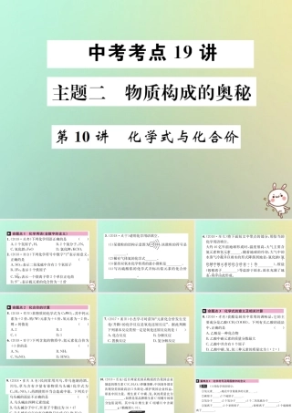 中考化学复习 主题二 物质构成的奥秘 第10讲 化学式与化合价课件