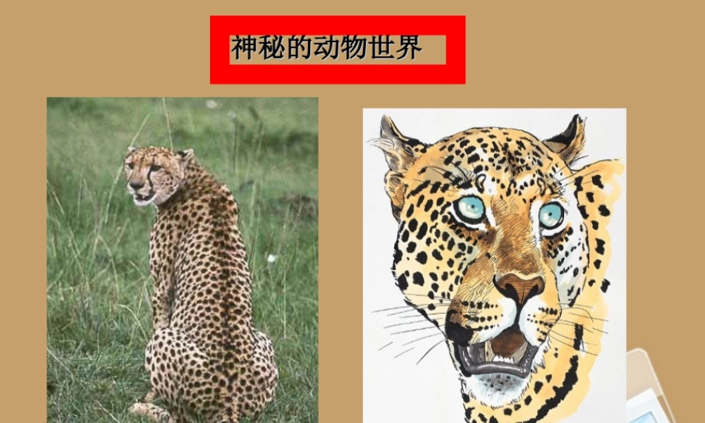 七年级语文上册 第写在雪地上的书)课件 鄂教版 课件