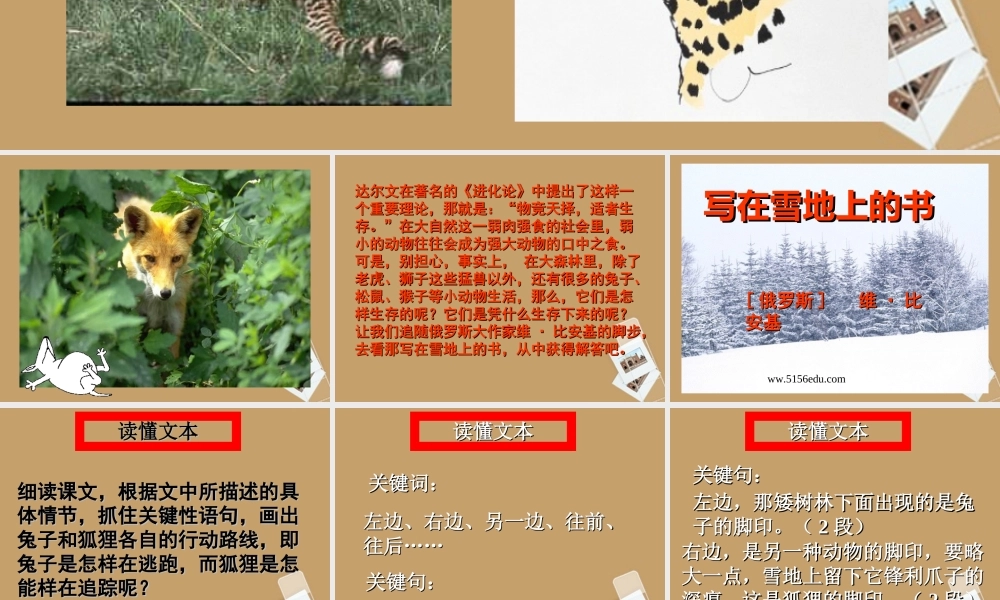 七年级语文上册 第写在雪地上的书)课件 鄂教版 课件