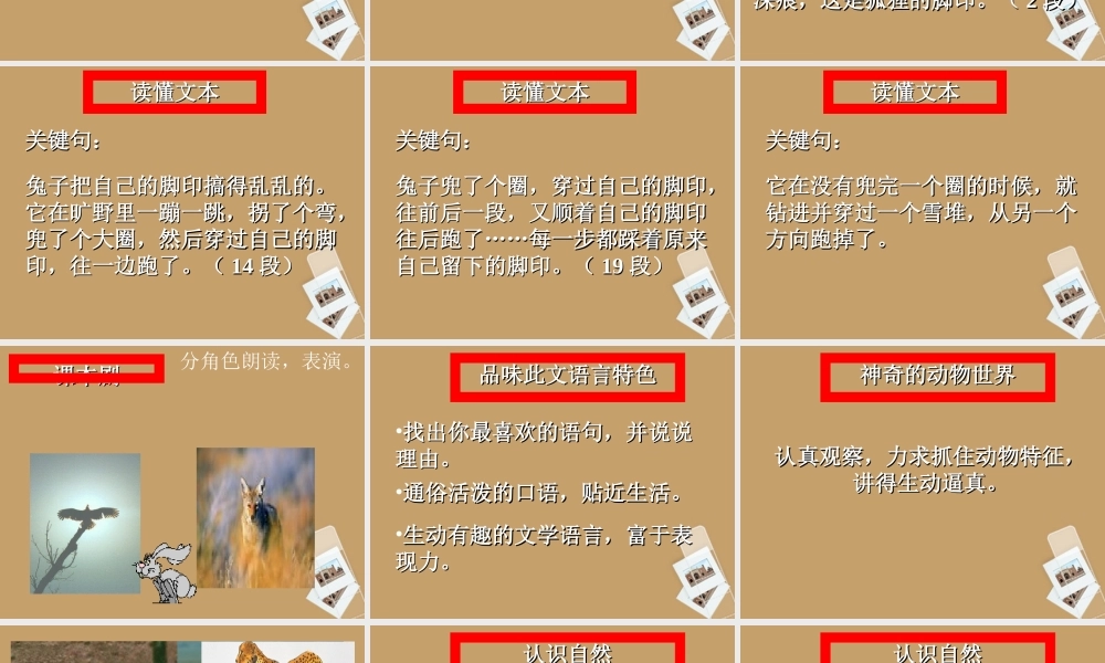 七年级语文上册 第写在雪地上的书)课件 鄂教版 课件