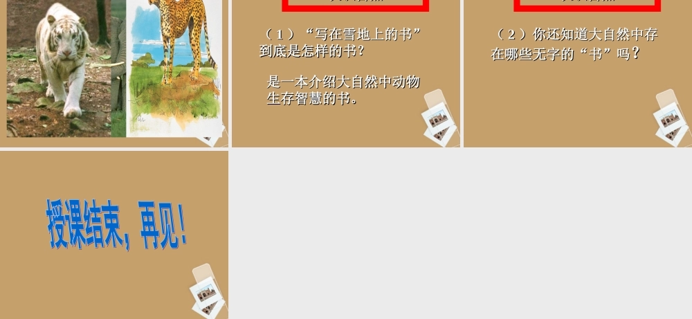 七年级语文上册 第写在雪地上的书)课件 鄂教版 课件