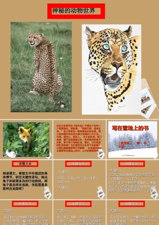 七年级语文上册 第写在雪地上的书)课件 鄂教版 课件