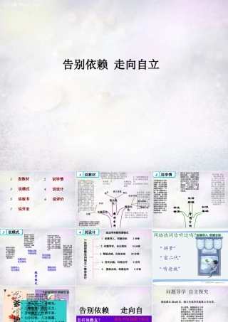 中学七年级政治下册 第三课 第2框(告别依赖 走向自立)课件2 新人教版 课件