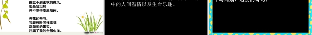 八年级语文下册(我的第一本书)课件(1) 鲁教版 课件