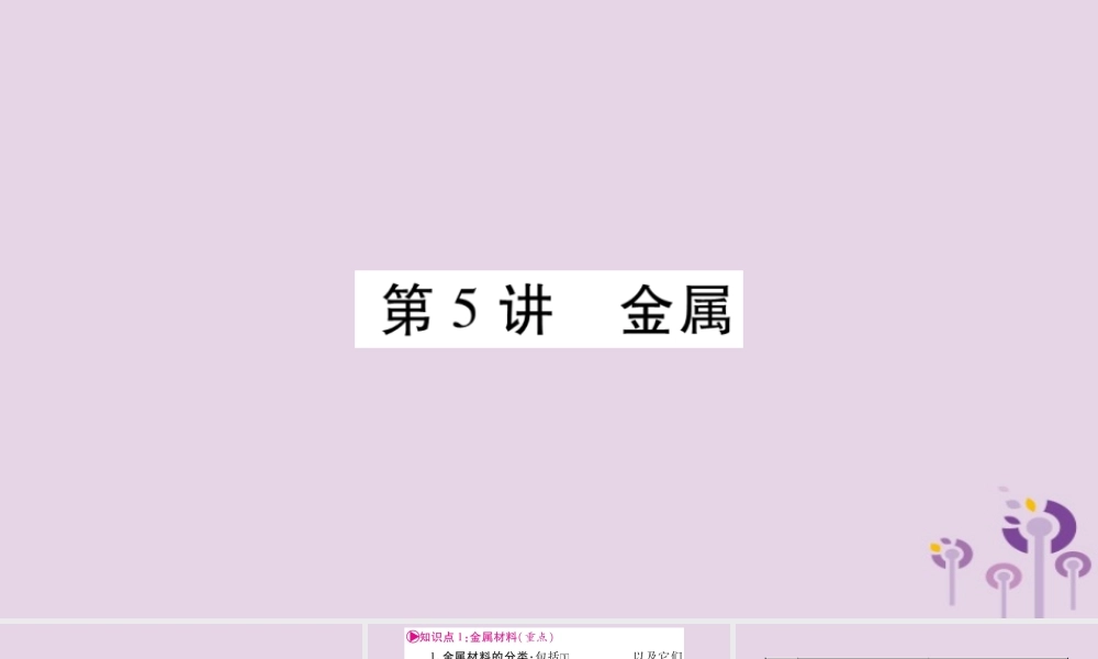中考化学复习 第一部分 基础知识 第一单元 常见的物质 第5讲 金属(精讲)课件