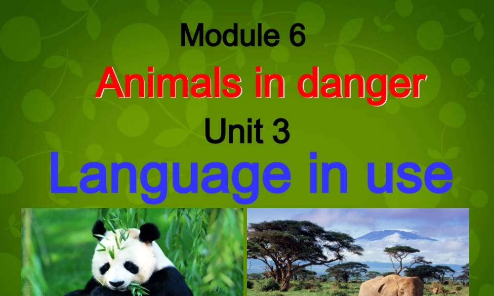 八年级英语上册 Module 6 Unit 3 Language in use课件 (新版)外研版 课件