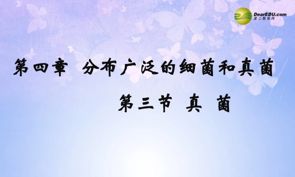 八年级生物上册 第五单元 第四章 第三节 真菌课件1 新人教版 课件