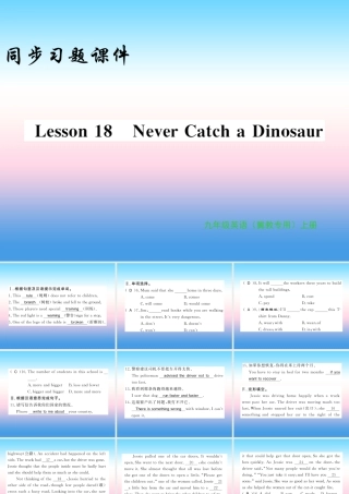 九年级英语上册 Unit 3 Safety Lesson 18 Never Catch a Dinosaur习题课件 (新版)冀教版 课件