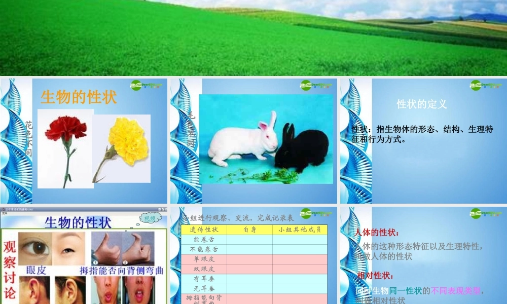 八年级生物 第一学期(试验本)第2章 第一节 基因 人体的性状和遗传现象课件 上海版 课件