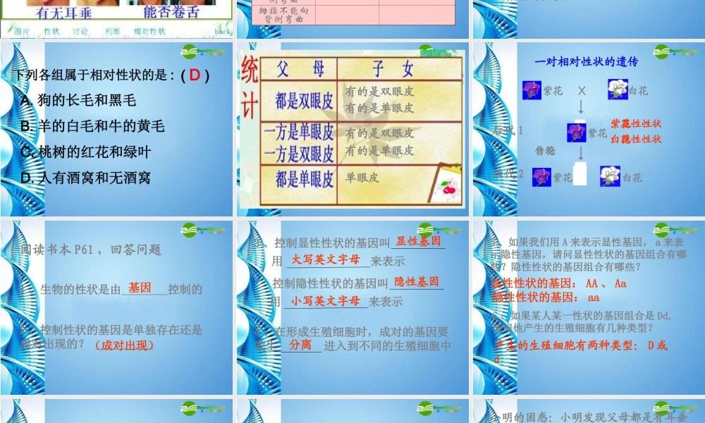 八年级生物 第一学期(试验本)第2章 第一节 基因 人体的性状和遗传现象课件 上海版 课件