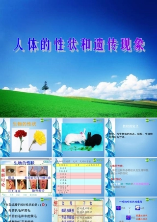 八年级生物 第一学期(试验本)第2章 第一节 基因 人体的性状和遗传现象课件 上海版 课件