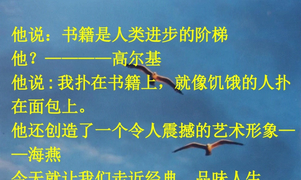 八年级语文下册 9 海燕课件 新人教版 课件