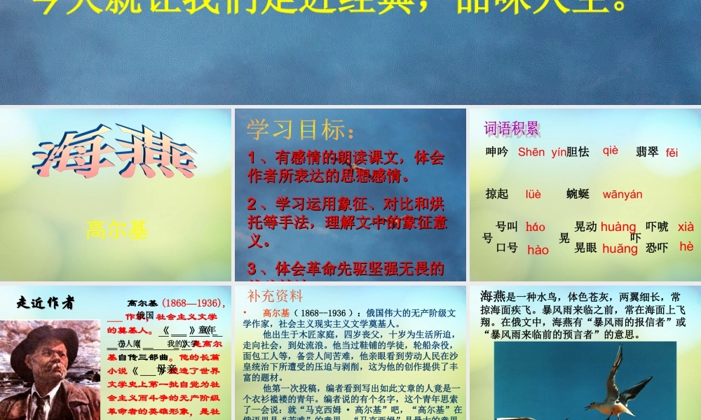 八年级语文下册 9 海燕课件 新人教版 课件