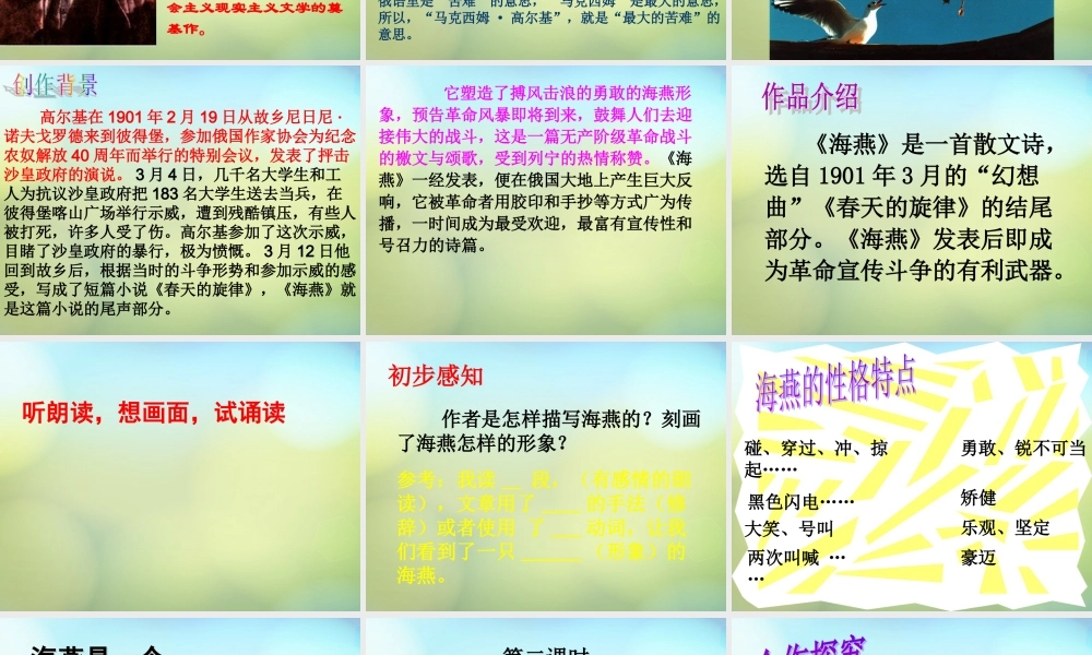 八年级语文下册 9 海燕课件 新人教版 课件