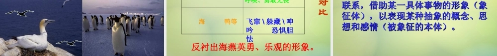 八年级语文下册 9 海燕课件 新人教版 课件