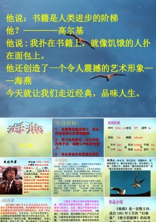 八年级语文下册 9 海燕课件 新人教版 课件