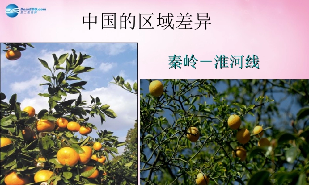 八年级物理下册 第五章 第一节 四大地理区域的划分课件 湘教版 课件