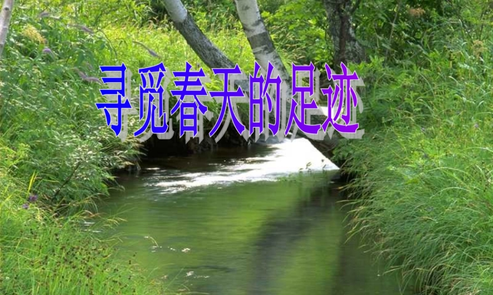 八年级语文下册(寻觅春天的足迹)课件 人教新课标版 课件