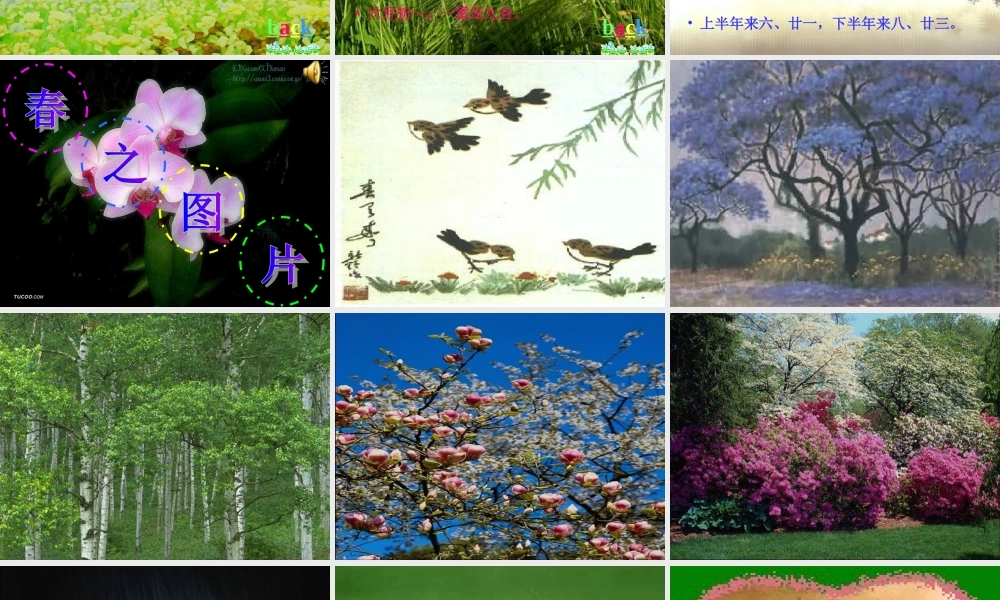 八年级语文下册(寻觅春天的足迹)课件 人教新课标版 课件