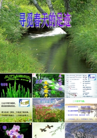 八年级语文下册(寻觅春天的足迹)课件 人教新课标版 课件