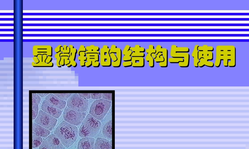 七年级生物(显微镜的结构与使用)课件  课件