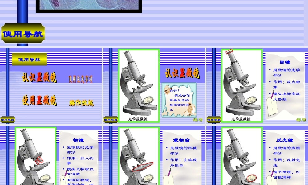 七年级生物(显微镜的结构与使用)课件  课件