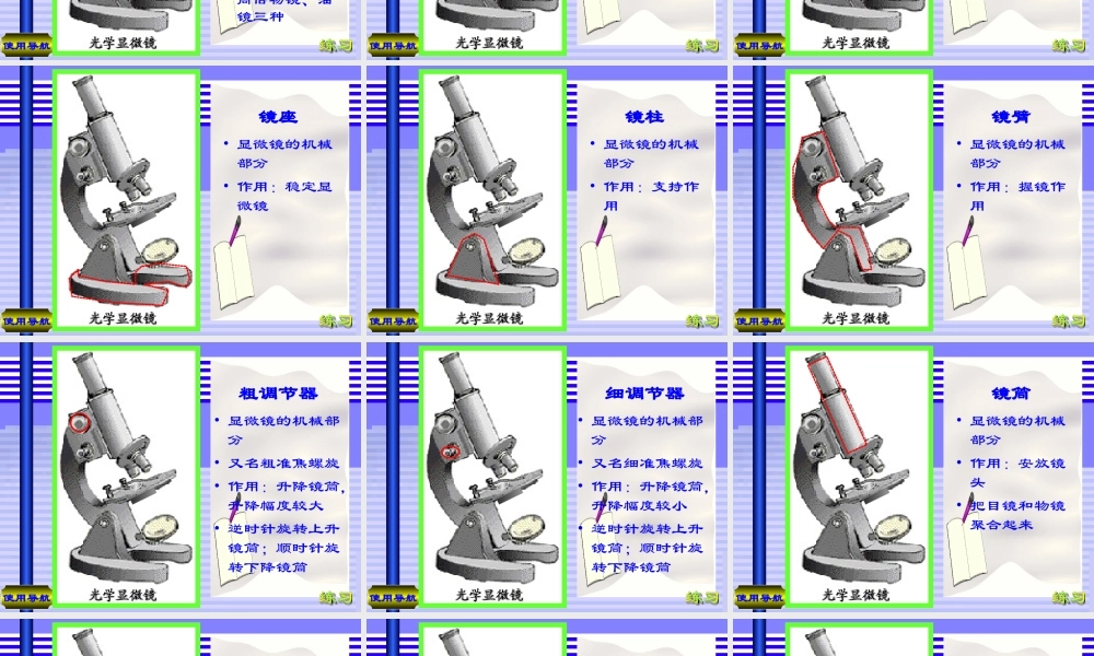 七年级生物(显微镜的结构与使用)课件  课件
