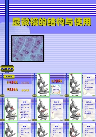 七年级生物(显微镜的结构与使用)课件  课件