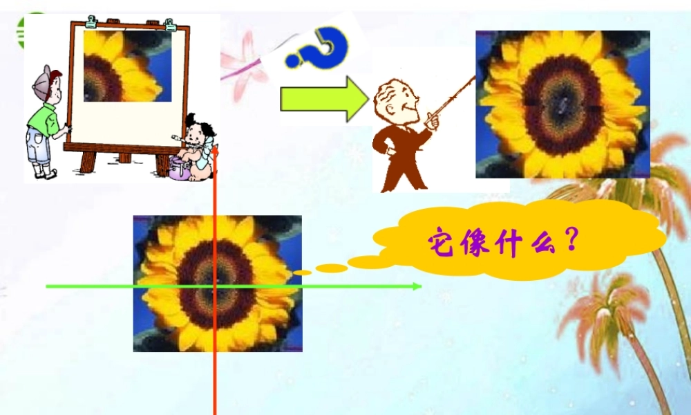 八年级数学上册 6.3坐标平面内的图形变换第一课时课件 浙教版 课件