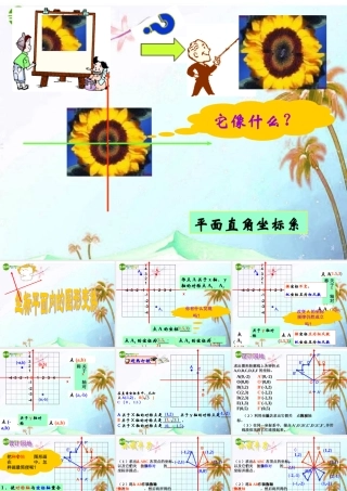 八年级数学上册 6.3坐标平面内的图形变换第一课时课件 浙教版 课件