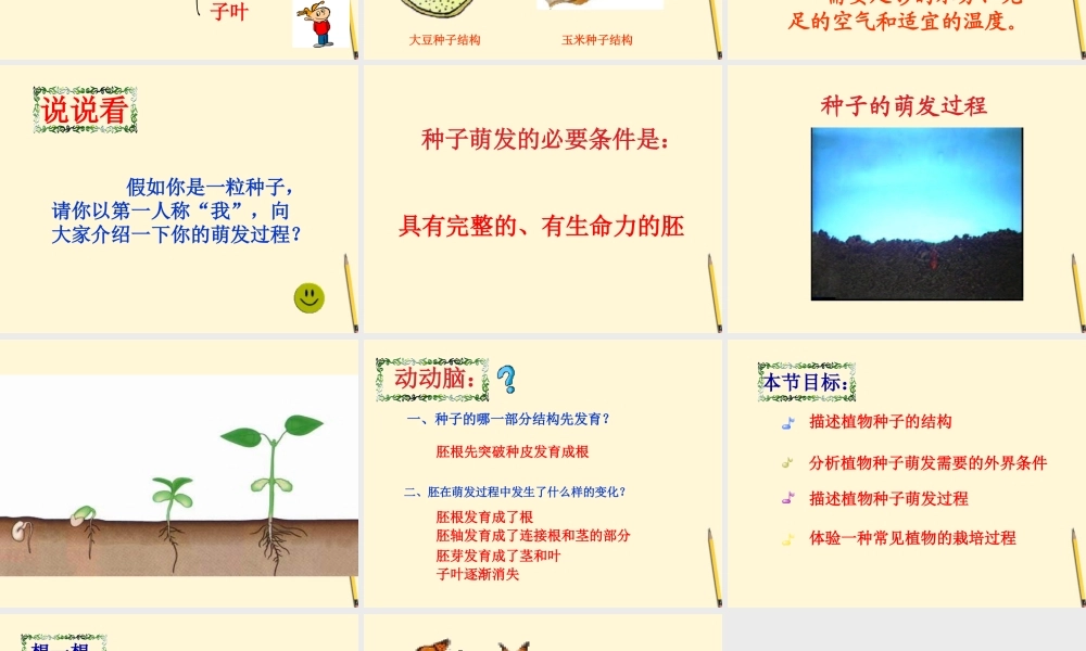 七年级生物上册(植物种子的萌发)课件 苏教版 课件