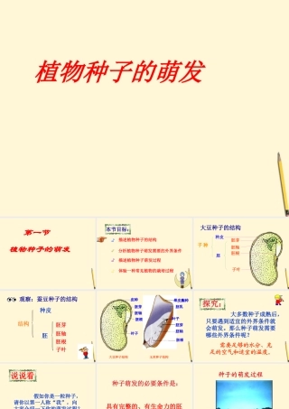 七年级生物上册(植物种子的萌发)课件 苏教版 课件