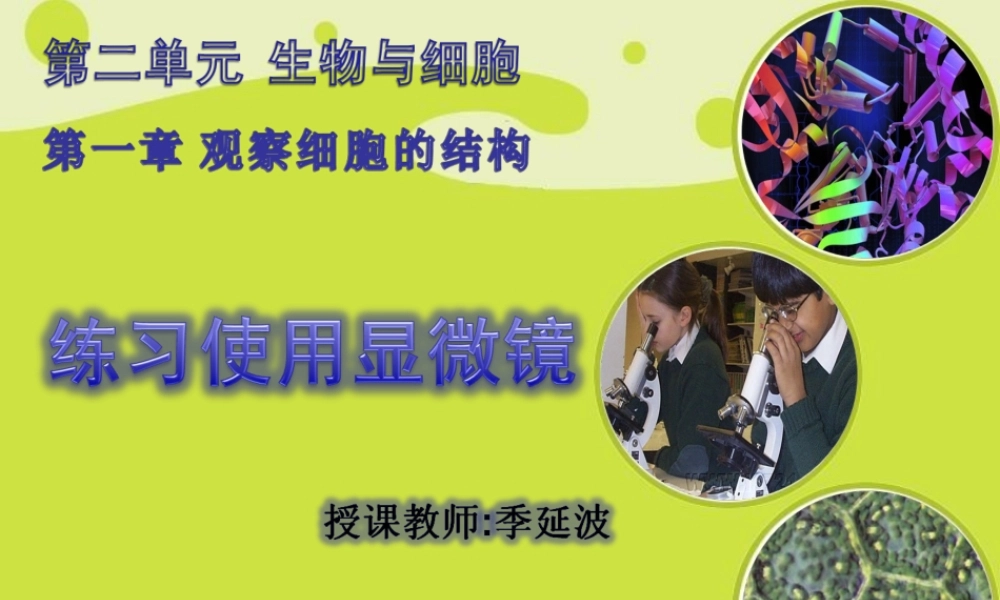 七年级生物第二单元 第一章 第一节 练习使用显微镜 课件